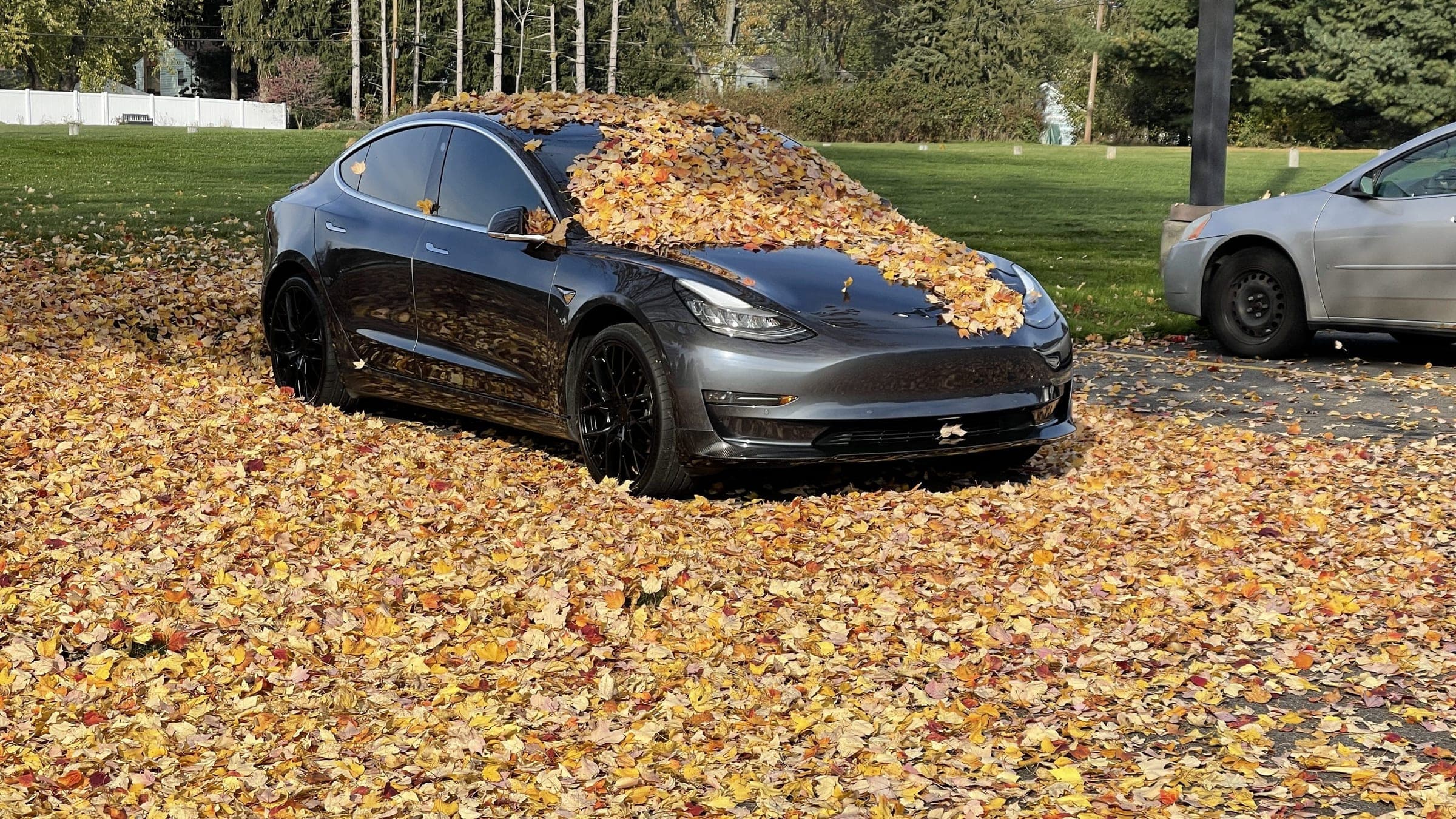 A grey Model 3 parked in a bed of fallen autumn leaves, leaves piled on the hood.